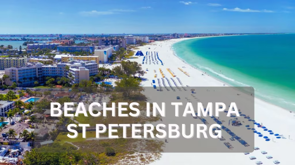 Best Beaches in Tampa ST Petersburg Clearwater
