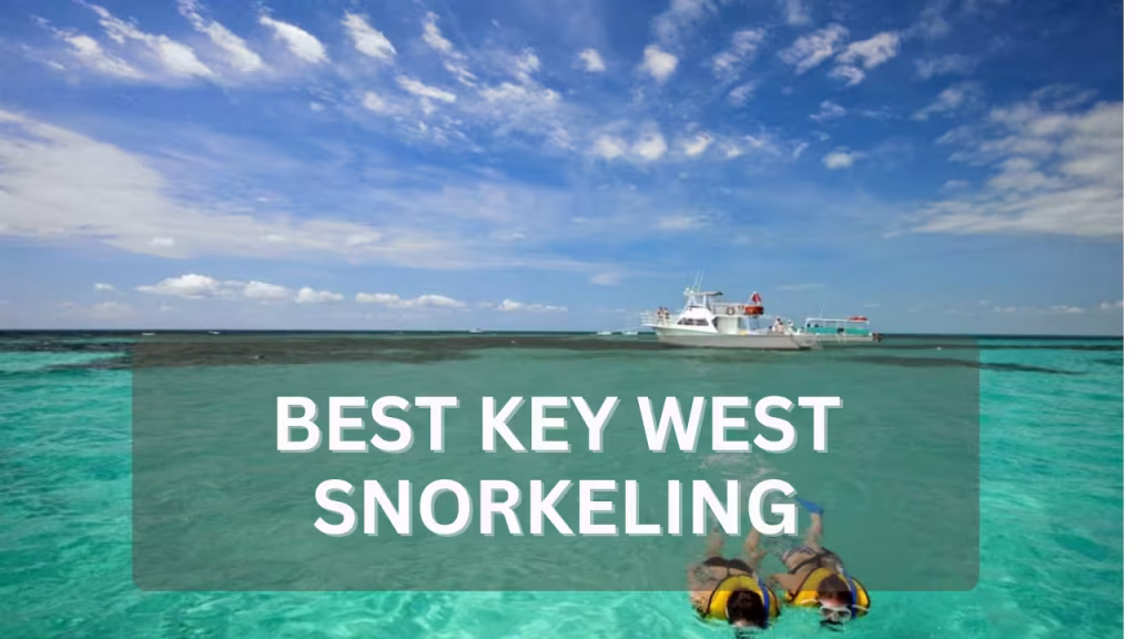 Best Key West Snorkeling