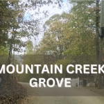 Mountain Creek Grove Cleveland Georgia