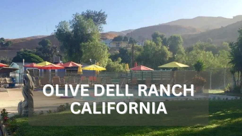 Olive Dell Ranch California