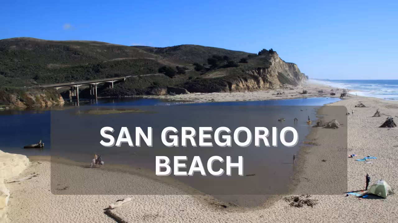 San Gregorio Beach